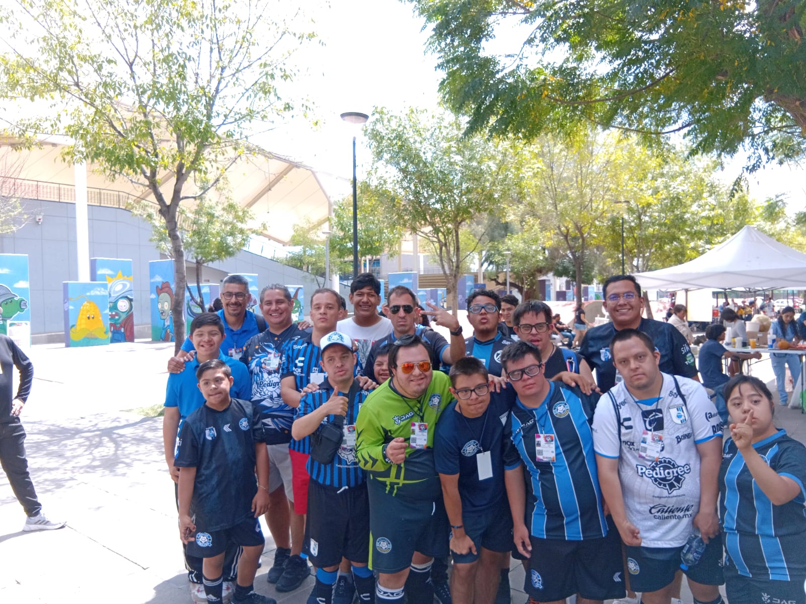 Gallos Smiling con sus medallas en Guanajuato